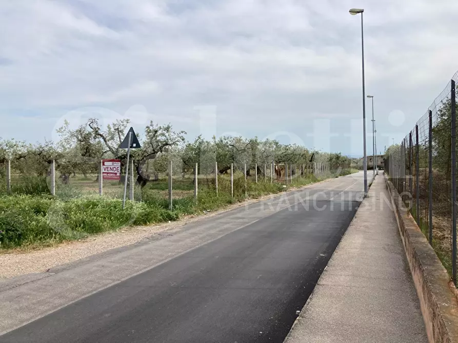 Immagine 4 di Terreno residenziale in vendita  in Strada vicinale guadone, snc a San Severo