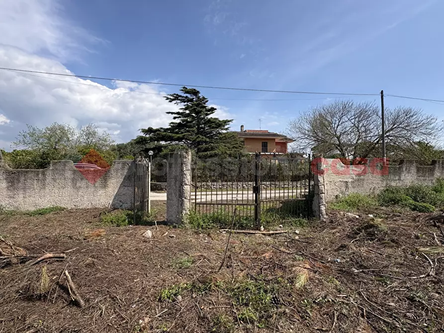 Immagine 14 di Terreno agricolo in vendita  in Via SAN FELICE CIRCEO TRAVERSA 23, 23 a Terracina