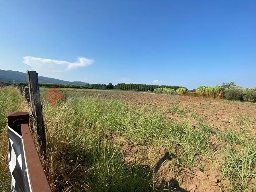 Immagine 1 di Terreno agricolo in vendita  in LocalitÃ  Starzella, SNC a Falciano Del Massico
