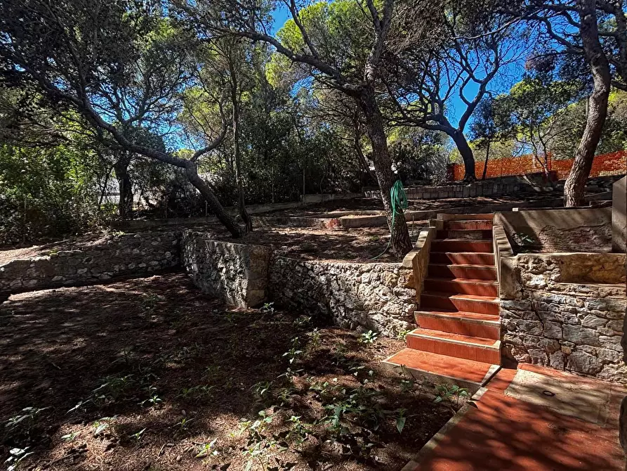 Immagine 7 di Villa in vendita  in LocalitÃ  Porto Pino, snc a Sant'anna Arresi