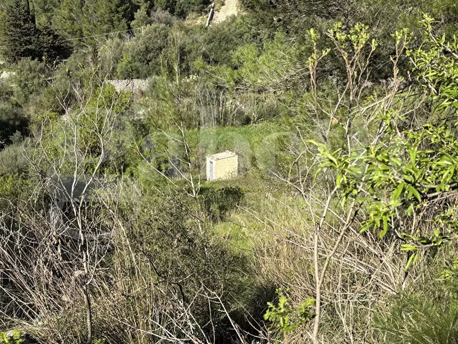 Immagine 12 di Rustico / casale in vendita  in Contrada Petraro, snc a Chiaramonte Gulfi