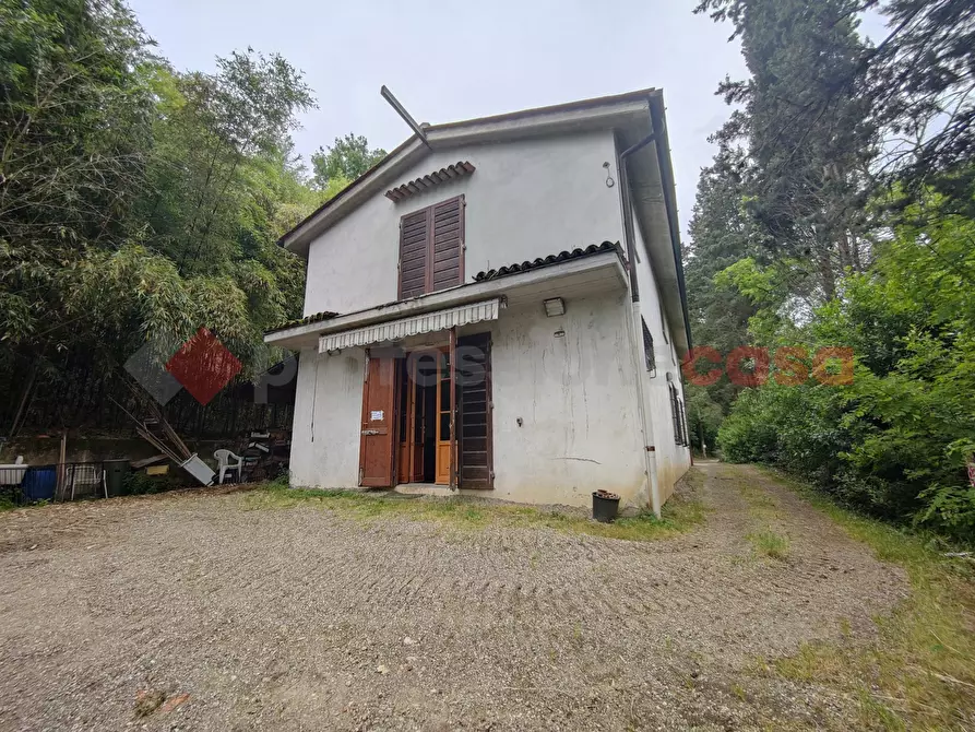 Immagine 14 di Terreno agricolo in vendita  in Via di castagneto a Empoli