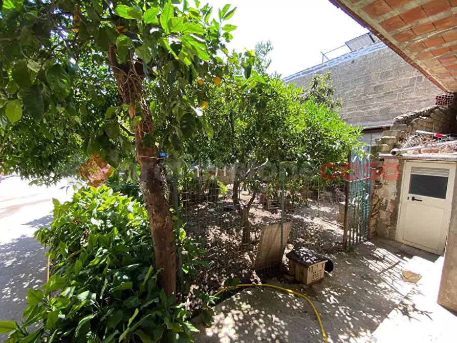 Immagine 33 di Casa indipendente in vendita  in Via Salerno, snc a Mondragone
