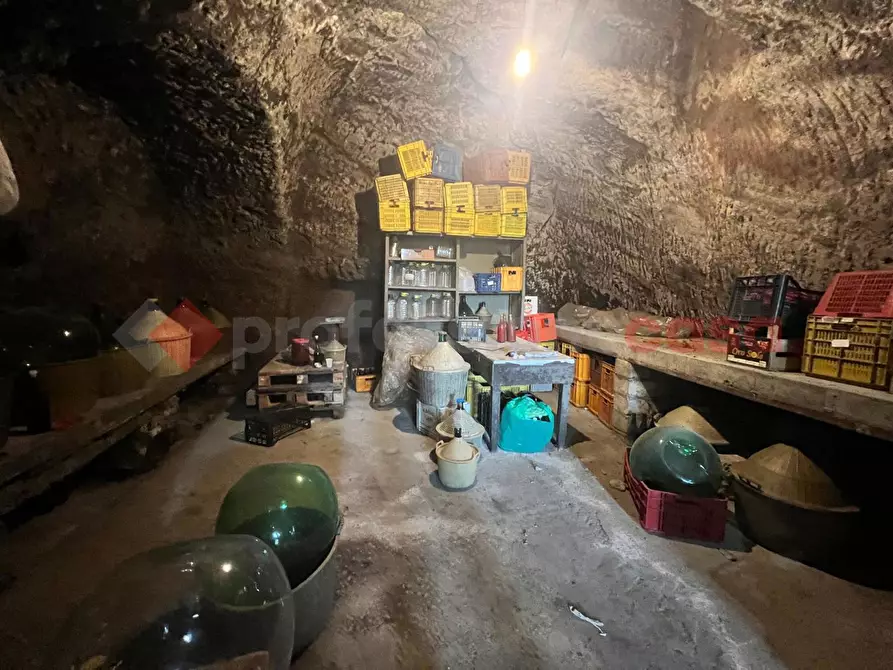 Immagine 26 di Terreno agricolo in vendita  in Contrada GORIZZE, SNC a Barile