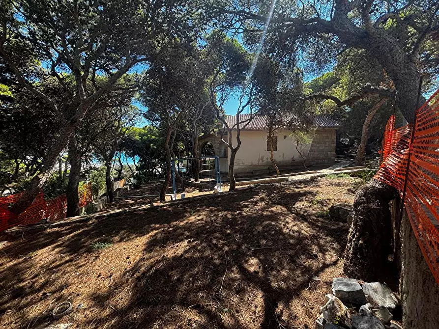 Immagine 9 di Villa in vendita  in LocalitÃ  Porto Pino, snc a Sant'anna Arresi