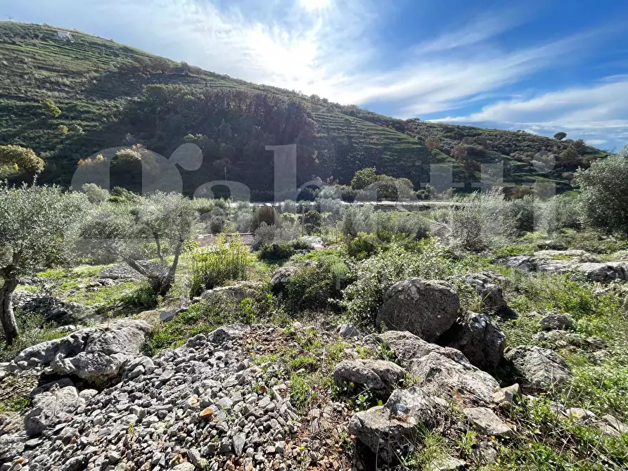 Immagine 10 di Terreno agricolo in vendita  in Via Sant'Agostino, snc a Gaeta
