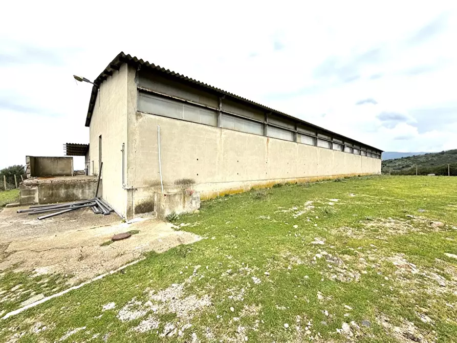 Immagine 7 di Capannone industriale in vendita  in Strada COMUNALE DE ORBAI, SNC a Dolianova