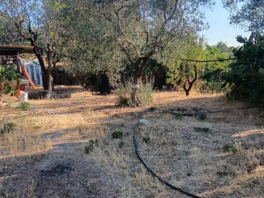 Immagine 5 di Terreno agricolo in vendita  in Strada VICINALE CRISPIANO MONTETERMITI, SNC a Crispiano