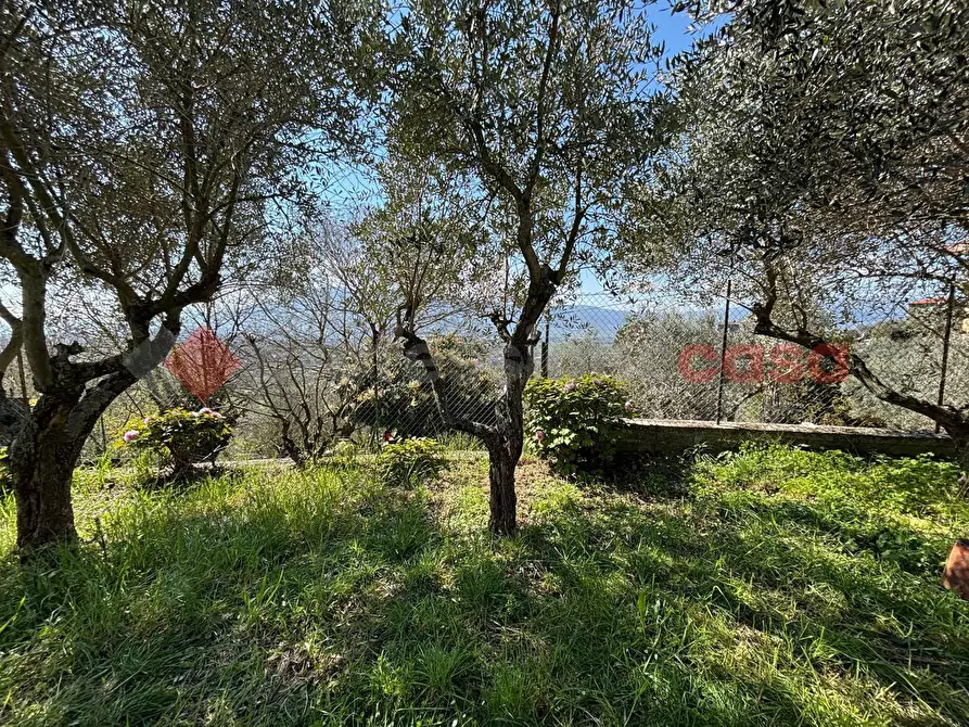 Immagine 6 di Casa indipendente in vendita  in Strada Vicinale San Vincenzo, snc a Anagni