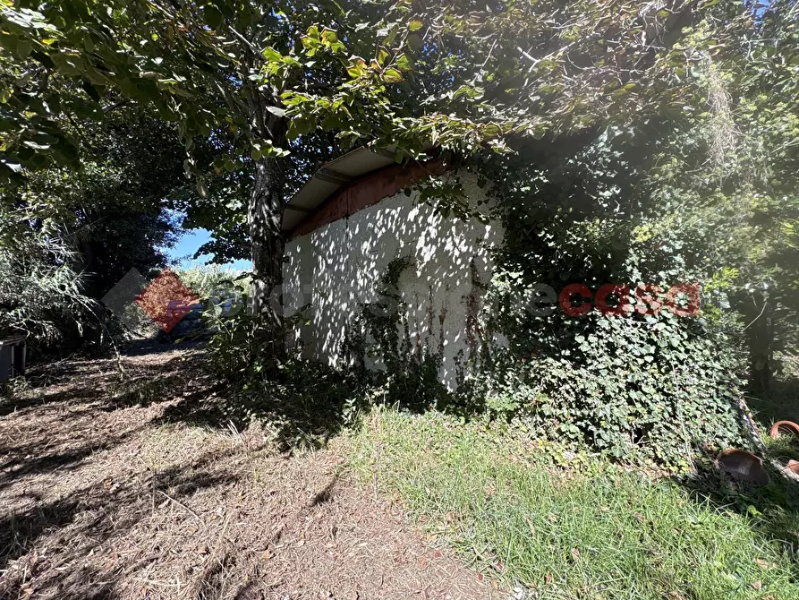 Immagine 15 di Casa indipendente in vendita  in Via SAN FELICE CIRCEO TRAVERSA DESTRA, 10 a Terracina