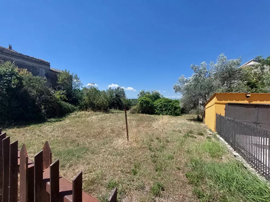 Immagine 2 di Rustico / casale in vendita  in Via Quaresima, snc a Mosciano Sant'angelo