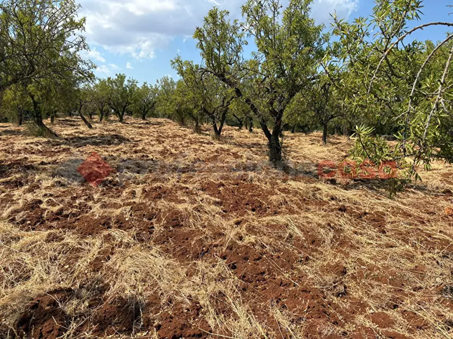 Immagine 10 di Terreno residenziale in vendita  in Contrada Fantese, snc a Ostuni