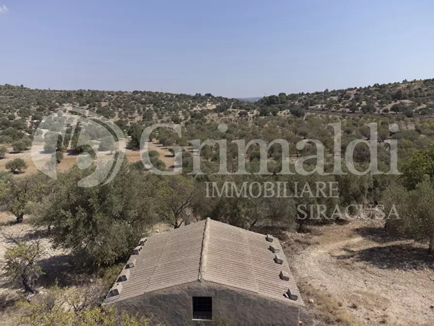 Immagine 5 di Terreno agricolo in vendita  in Via SS115, 1 a Noto