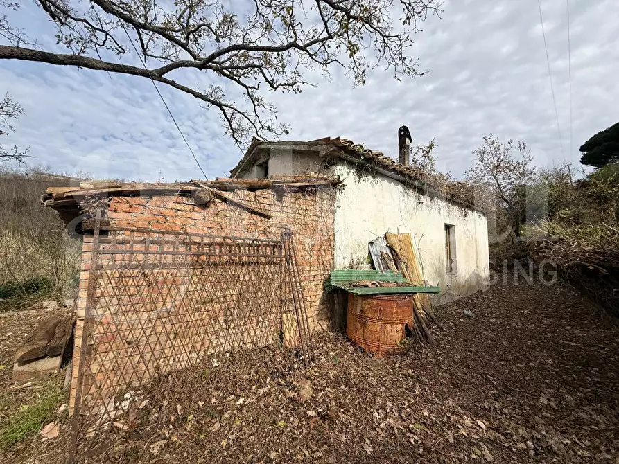 Immagine 8 di Terreno agricolo in vendita  in Contrada CARLO FAZZO, snc a Pianopoli