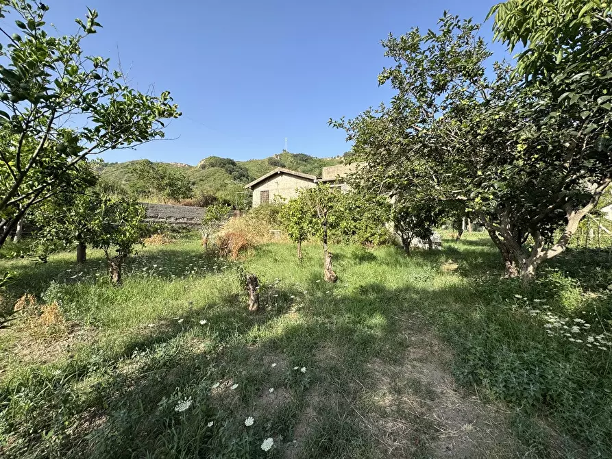 Immagine 3 di Terreno agricolo in vendita  in Strada comunale, snc a Rometta