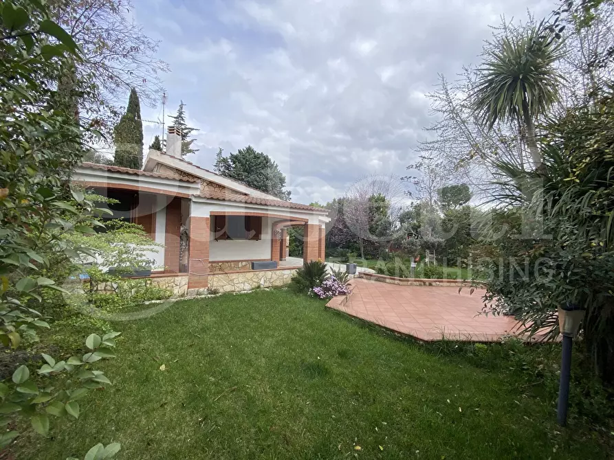 Immagine 4 di Villetta a schiera in vendita  in Via riconciliazione dei Cristiani, nc a Cassano Delle Murge