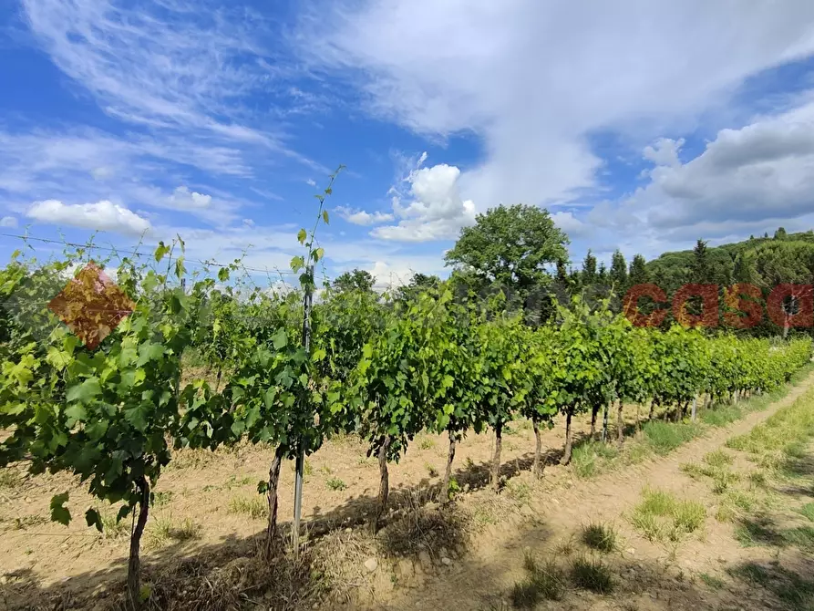 Immagine 38 di Terreno agricolo in vendita  in Via di castagneto a Empoli