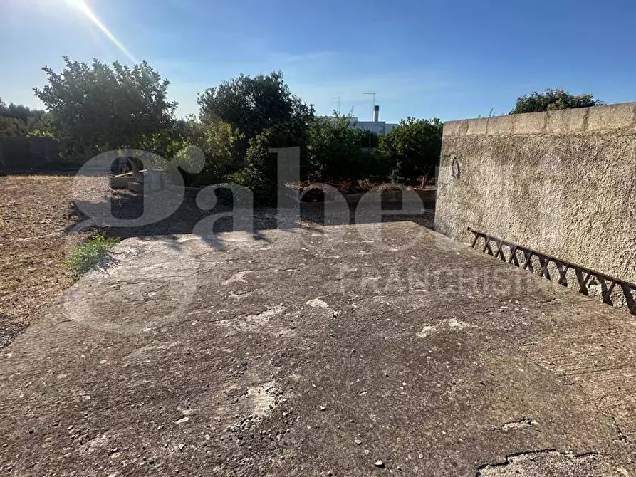 Immagine 13 di Terreno agricolo in vendita  in Contrada Salinola a Ostuni