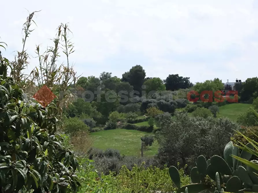 Immagine 32 di Baita in vendita  in Contrada San Salvatore, snc a Ostuni