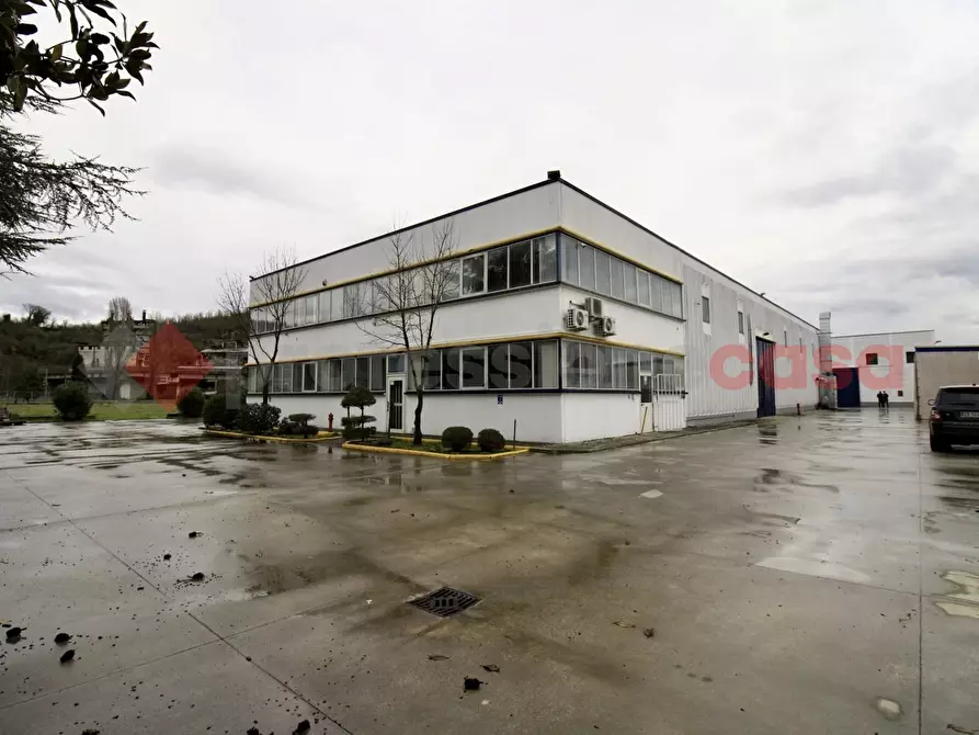 Immagine 11 di Capannone industriale in vendita  in Via Provinciale Morolense, 105 a Morolo