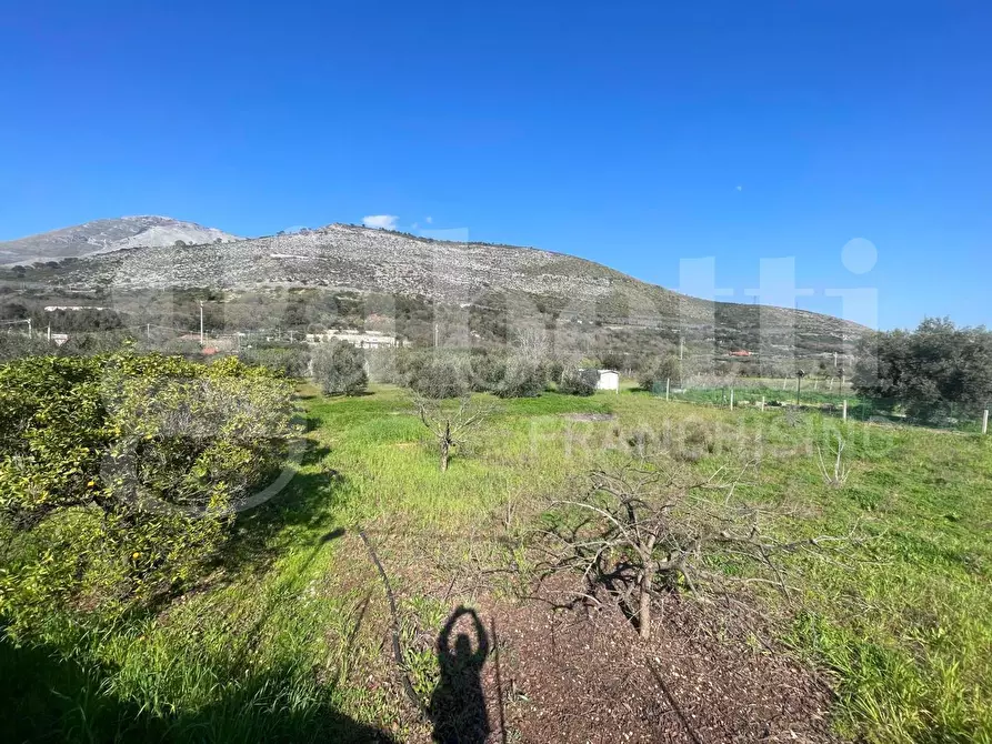 Immagine 6 di Terreno agricolo in vendita  in Via dell'agricoltura, s.n.c. a Gaeta