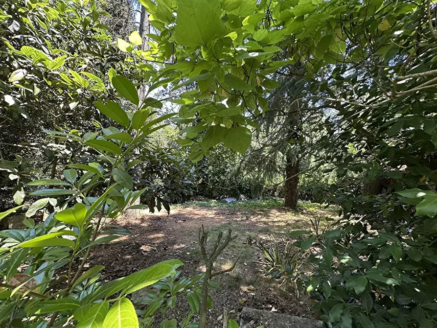 Immagine 8 di Appartamento in vendita  in Via SCOPETONI, 00 a Manziana