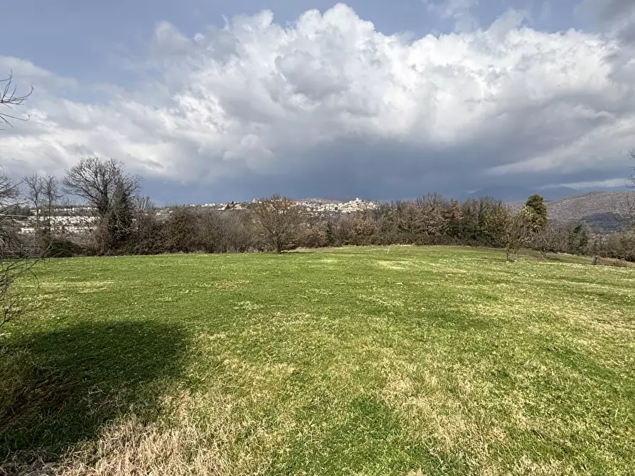 Immagine 8 di Terreno residenziale in vendita  in Via collittimi, snc a Trivigliano