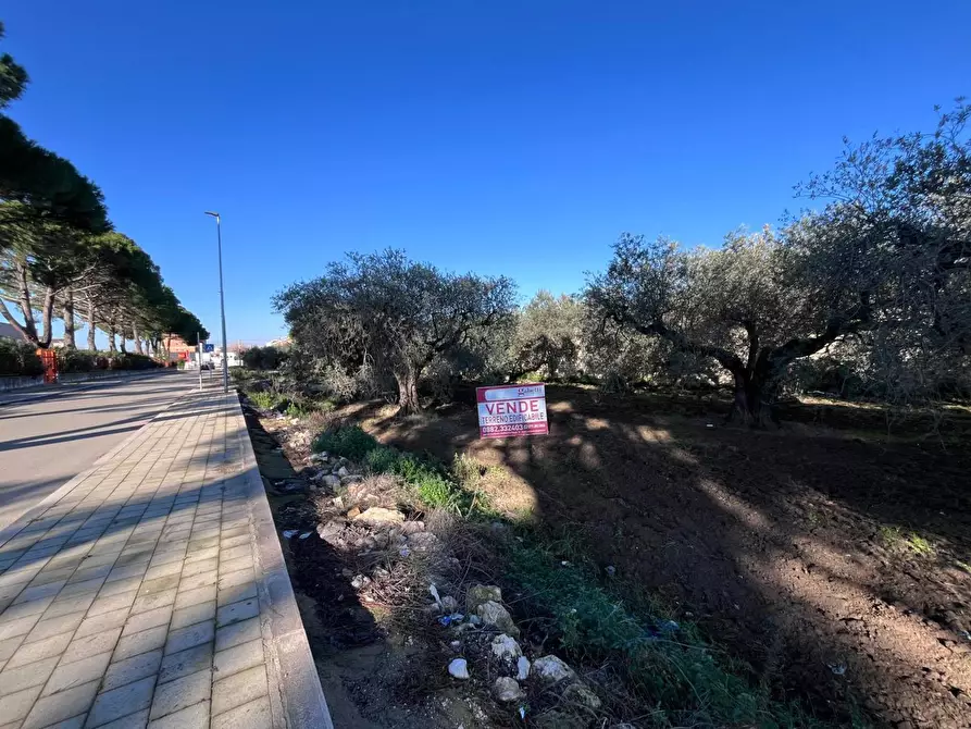Immagine 2 di Terreno residenziale in vendita  in Via LITTERO a San Severo