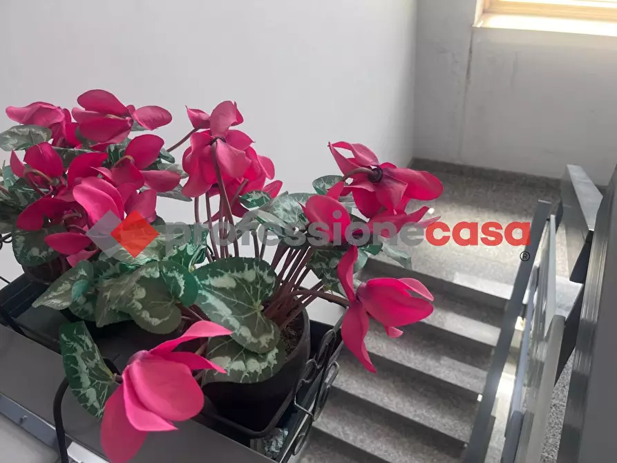 Immagine 3 di Appartamento in vendita  in Via Del Fondaco, 5 a Linguaglossa