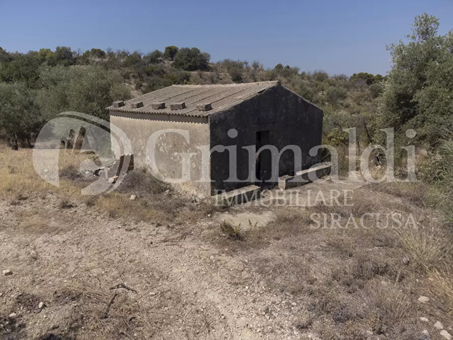 Immagine 4 di Terreno agricolo in vendita  in Via SS115, 1 a Noto