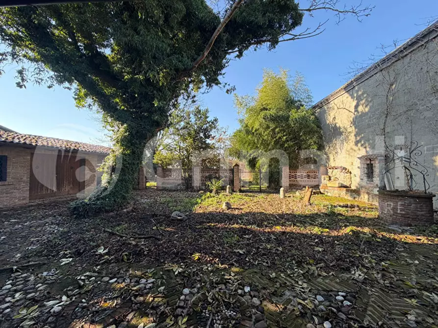 Immagine 6 di Villa in vendita  in Via CAVOUR, 16 a San Cipriano Po