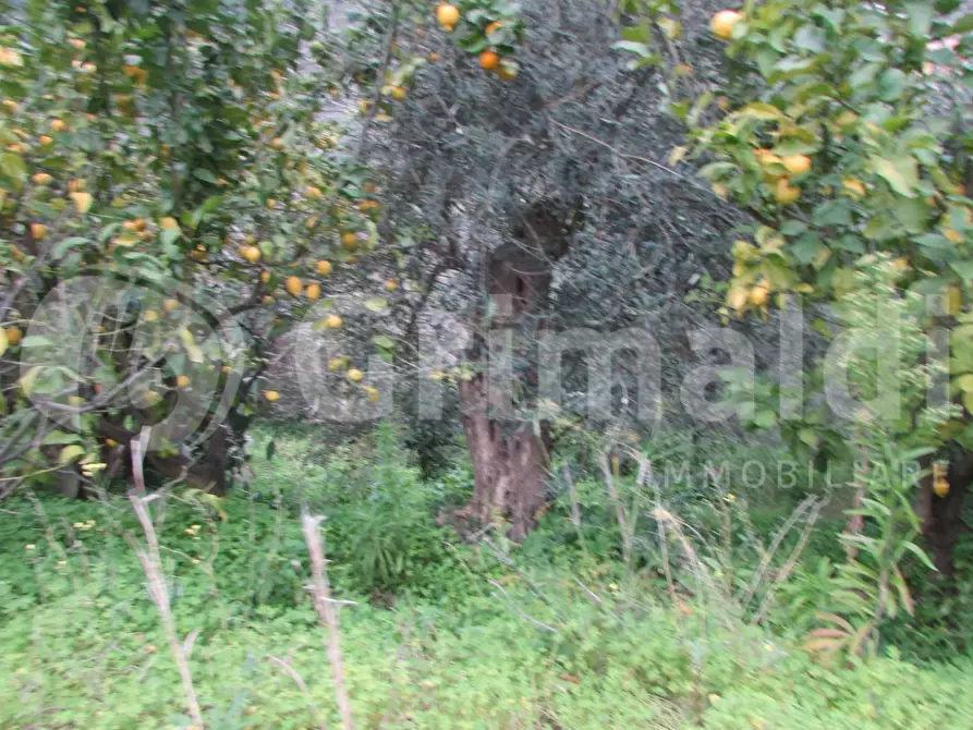 Immagine 26 di Casa indipendente in vendita  in Via San Paolo Gala, 10 a Barcellona Pozzo Di Gotto