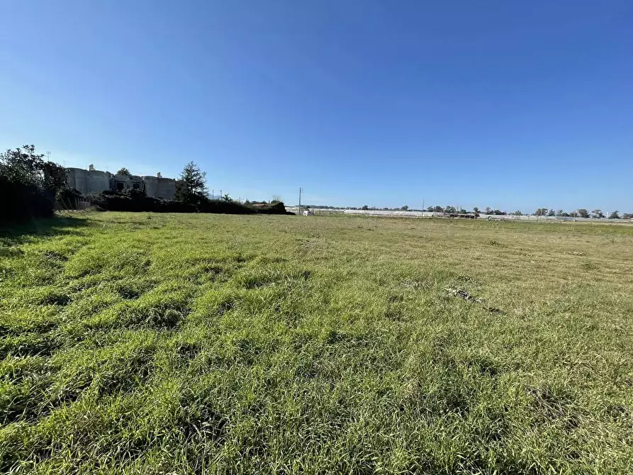 Immagine 6 di Terreno agricolo in vendita  in Via SAN FELICE CIRCEO, 1 a Terracina