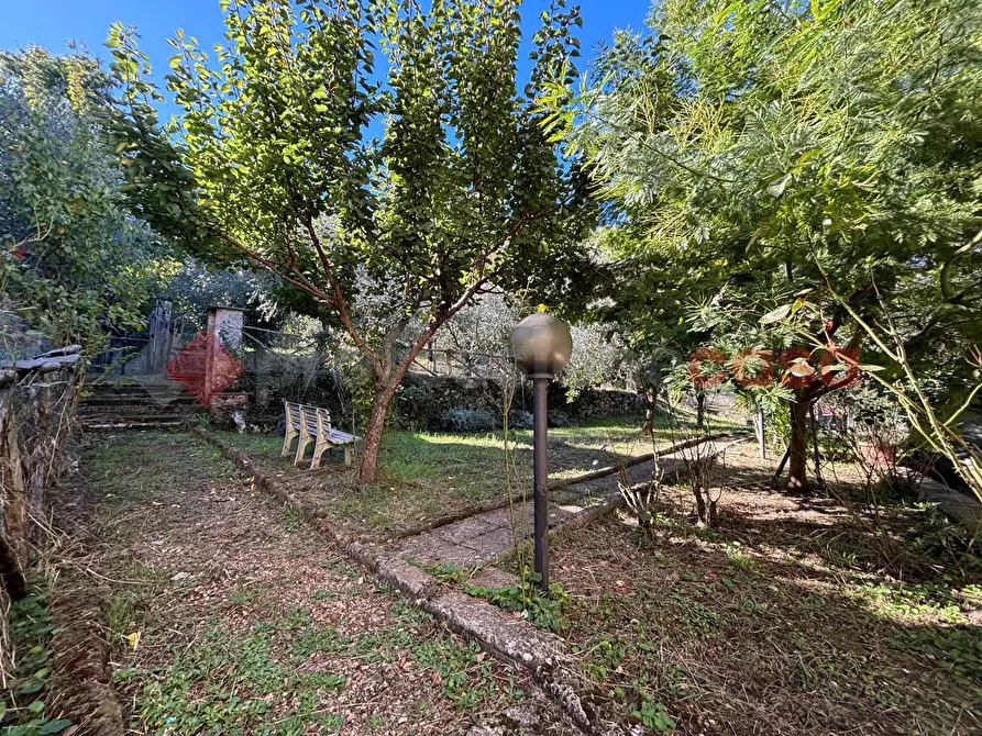 Immagine 7 di Terreno agricolo in vendita  in Via Vignali, snc a Sgurgola