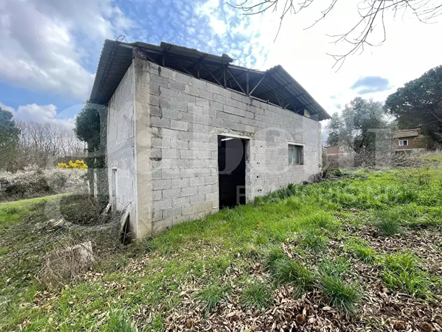 Immagine 3 di Villa in vendita  in Strada DELLA CASTELLINA, 00 a Oriolo Romano