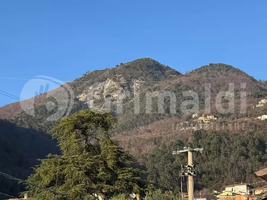 Immagine 20 di Appartamento in vendita  in Via RIPA, 31 a Massa