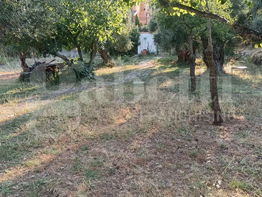 Immagine 3 di Terreno residenziale in vendita  in Via ROSSINI, SNC a Crispiano