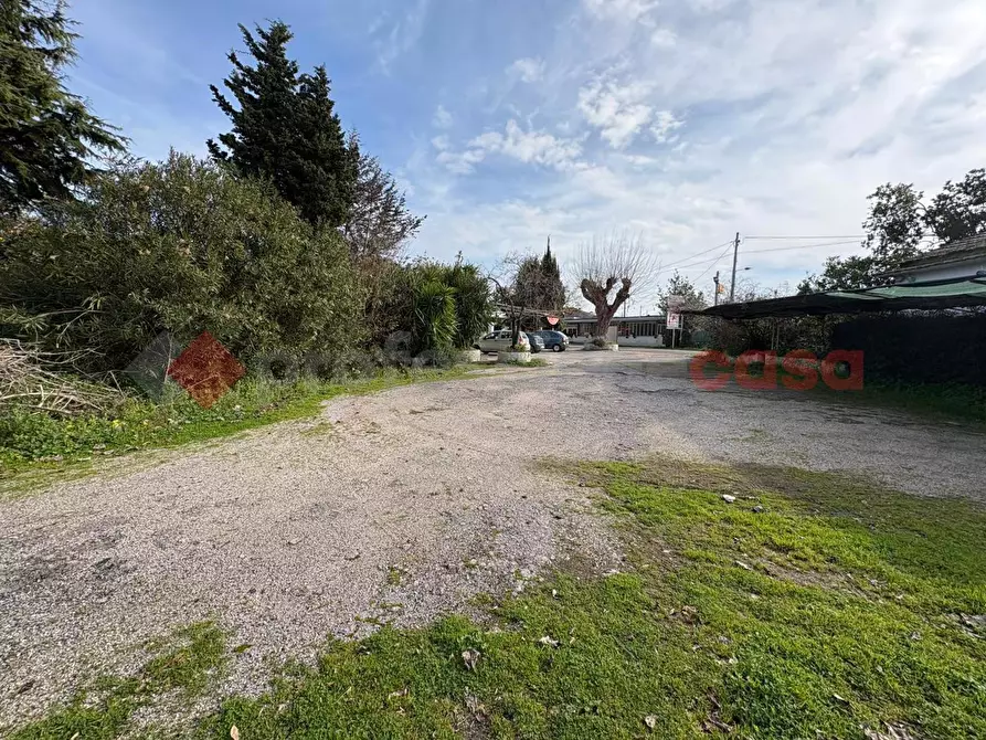 Immagine 39 di Bar / Ristorante in vendita  in Via Punta Fiume, snc a Sessa Aurunca