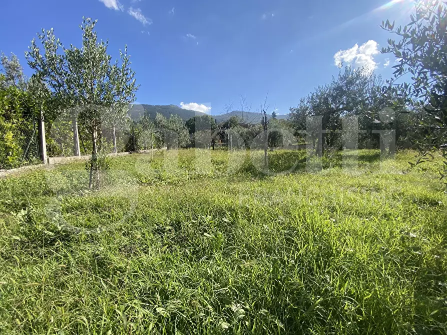 Immagine 9 di Terreno residenziale in vendita  in Via DELLE GINESTRE, 1 a Assisi