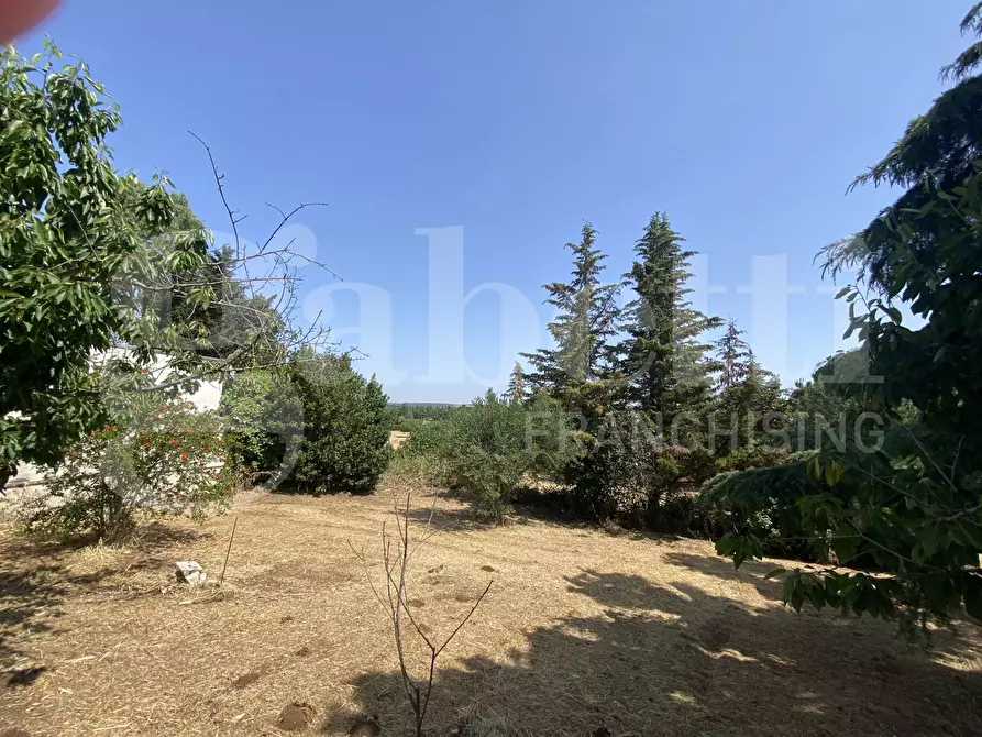 Immagine 39 di Villa in vendita  in Via S.P. 18, 76 a Cassano Delle Murge