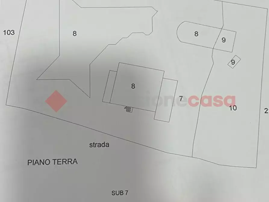 Immagine 13 di Bar / Ristorante in vendita  in Strada provinciale 118, snc a Paliano