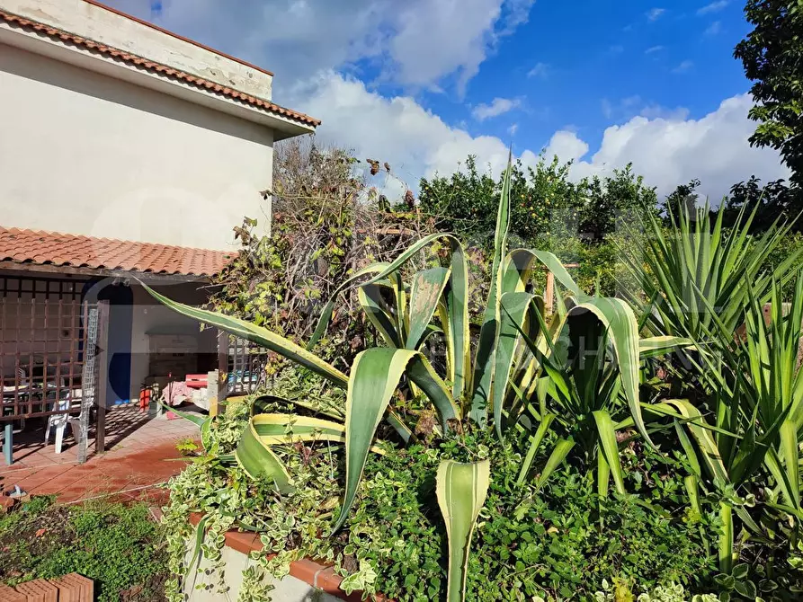 Immagine 9 di Casa indipendente in vendita  in Via Prota, 25 a Torre Annunziata