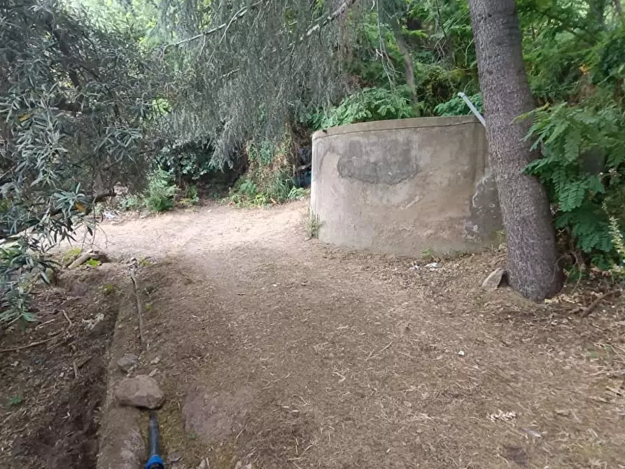 Immagine 11 di Terreno agricolo in vendita  in Via Zafferia, contrada cardÃ , snc a Messina