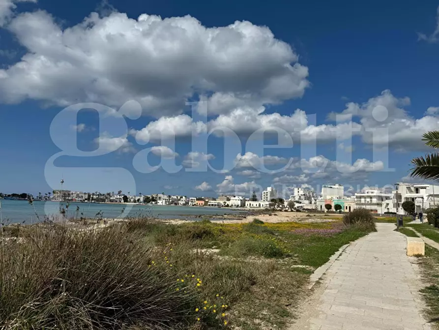Immagine 19 di Casa indipendente in vendita  in Via Giuseppe Arimondi, 59 a Porto Cesareo