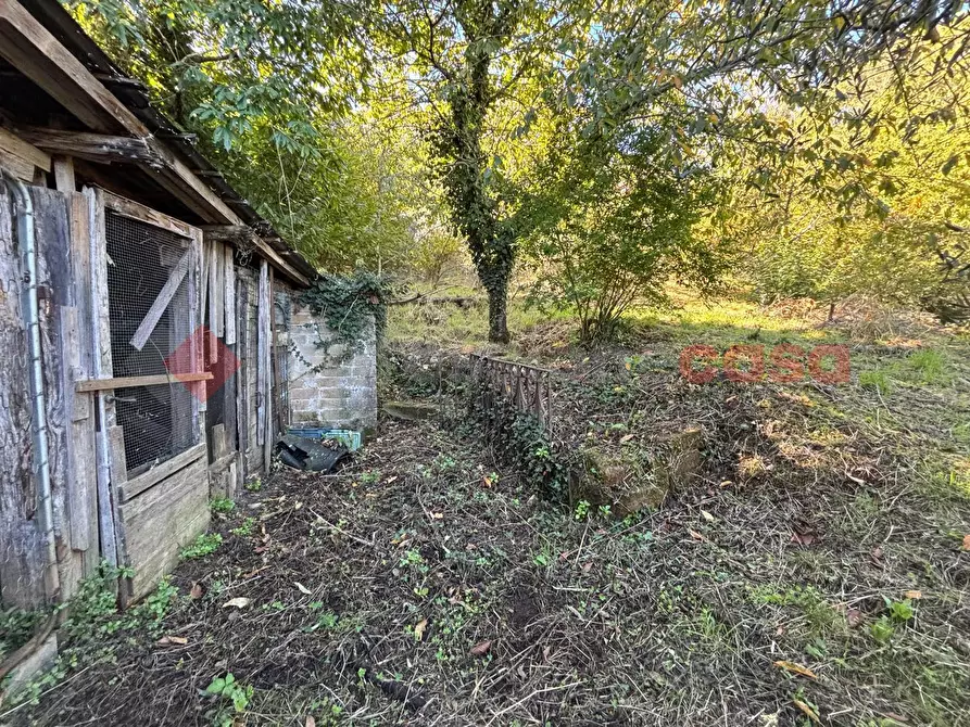 Immagine 3 di Terreno agricolo in vendita  in Via Vignali, snc a Sgurgola