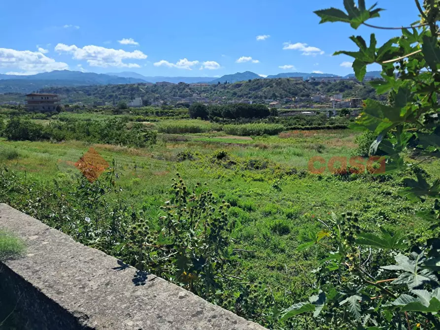 Immagine 3 di Terreno agricolo in vendita  in Via Consortile Catona, 263 a Reggio Di Calabria