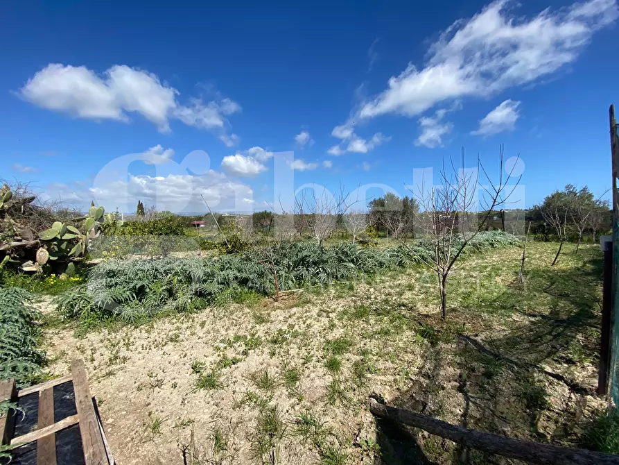 Immagine 6 di Terreno agricolo in vendita  in Strada consortile s.lorenzo, . a Noto