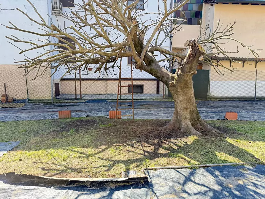 Immagine 16 di Terreno residenziale in vendita  in Via GUGLIERMO MARCONI, 104 a Miradolo Terme