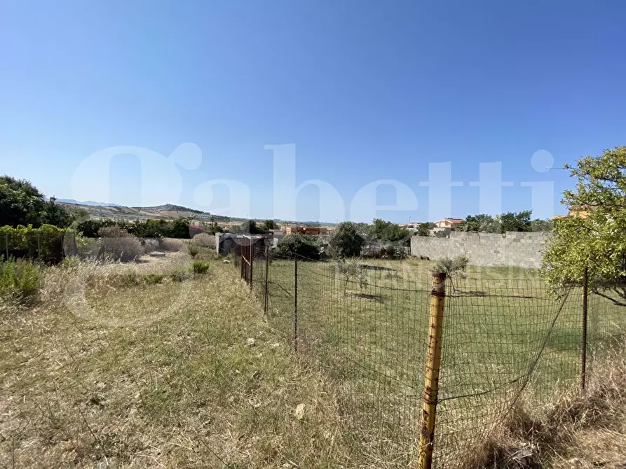 Immagine 3 di Terreno agricolo in vendita  in Via Alessandrini, snc a Maracalagonis