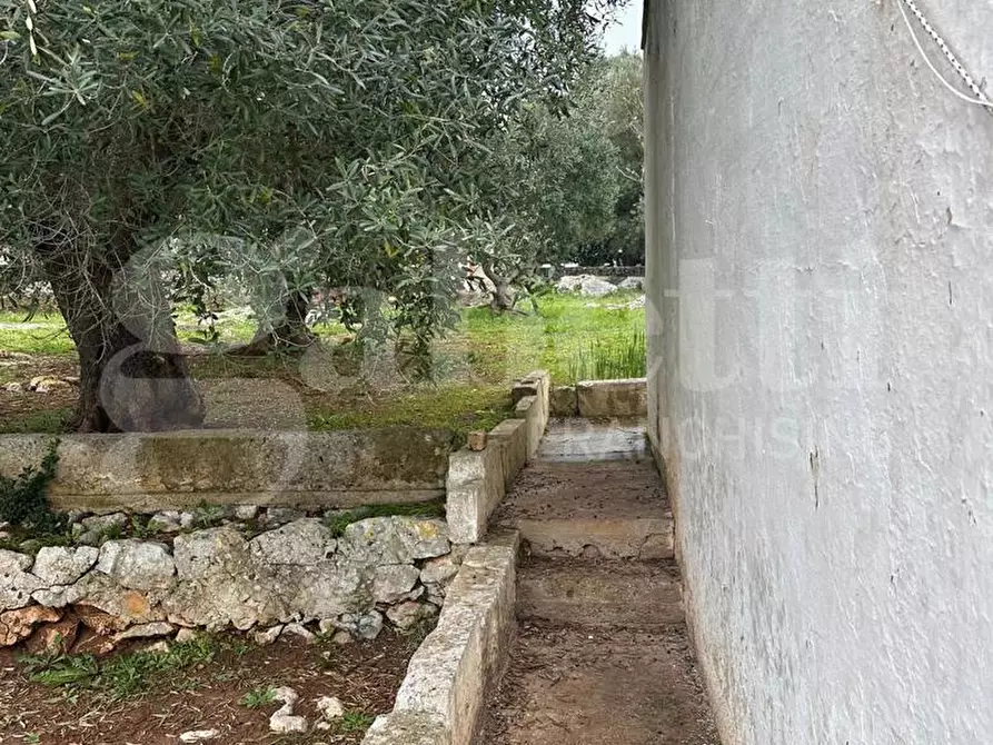 Immagine 12 di Villa in vendita  in Contrada Salinola, sn a Ostuni